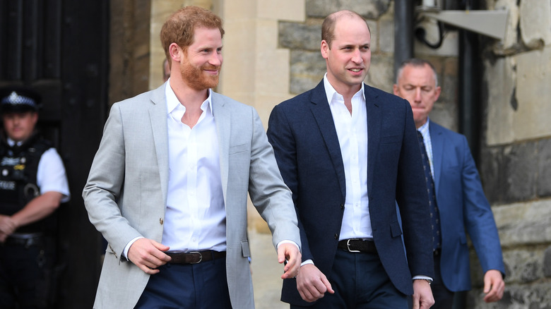 Le prince Harry et le prince William