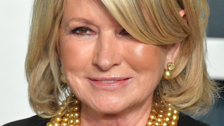 Ce qui s’est vraiment passé avec Martha Stewart et son ex-mari