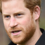 Des experts royaux expliquent l’impact des mémoires du prince Harry