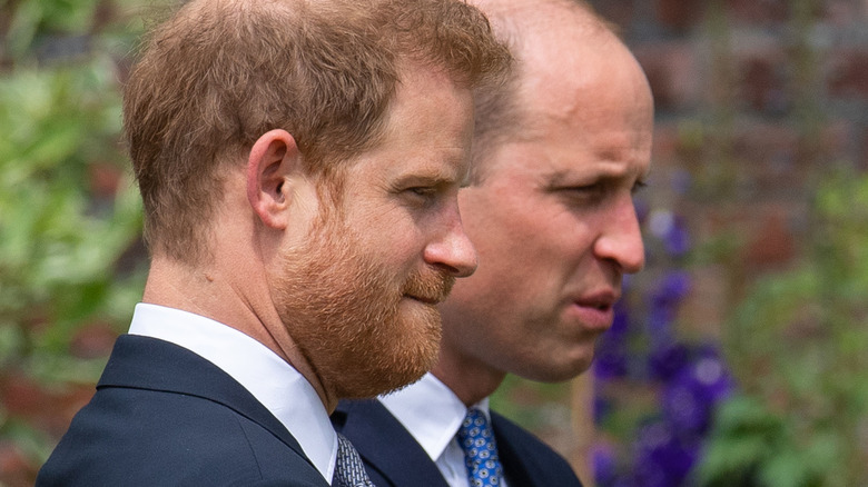 Harry et William à la statue de Diana révélant