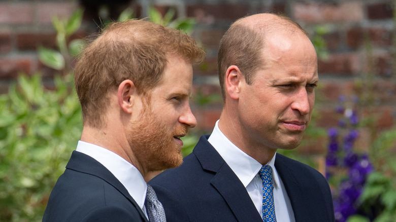 Harry et William lors d'une cérémonie pour la statue de la princesse Diana