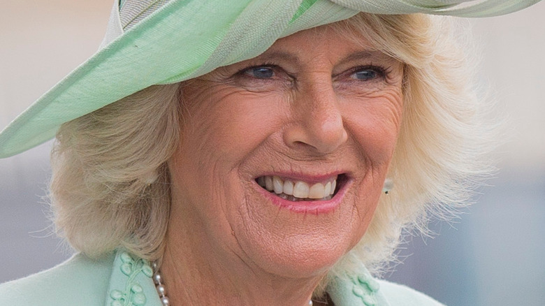 Camilla pardonnera-t-elle jamais au prince Harry et à Meghan Markle ?