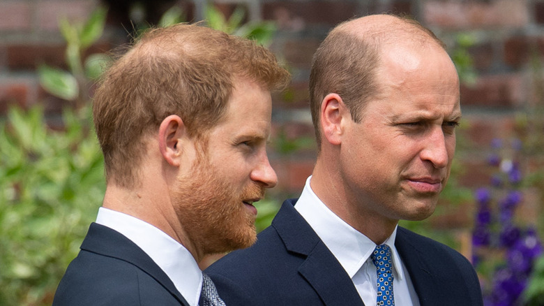 Le prince Harry et le prince William debout ensemble