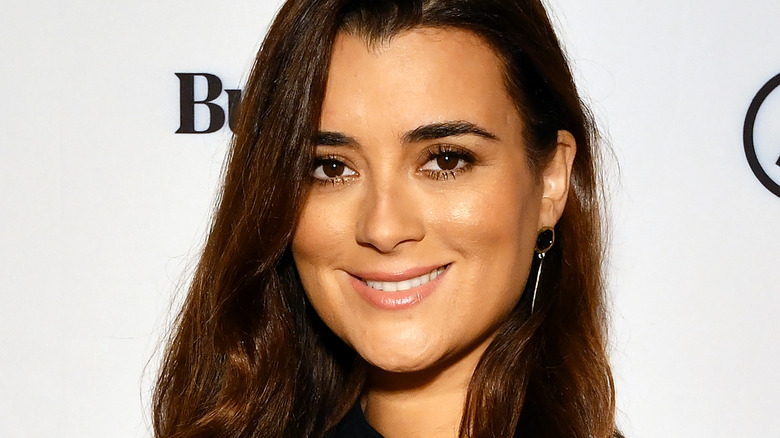 Cote de Pablo cheveux longs