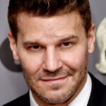 La transformation de David Boreanaz de 22 à 52 ans