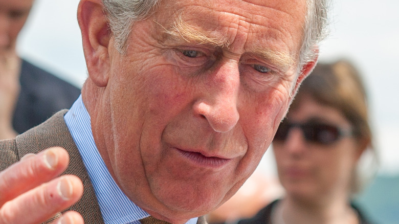 Le prince Charles a-t-il vraiment été signalé à la police ?