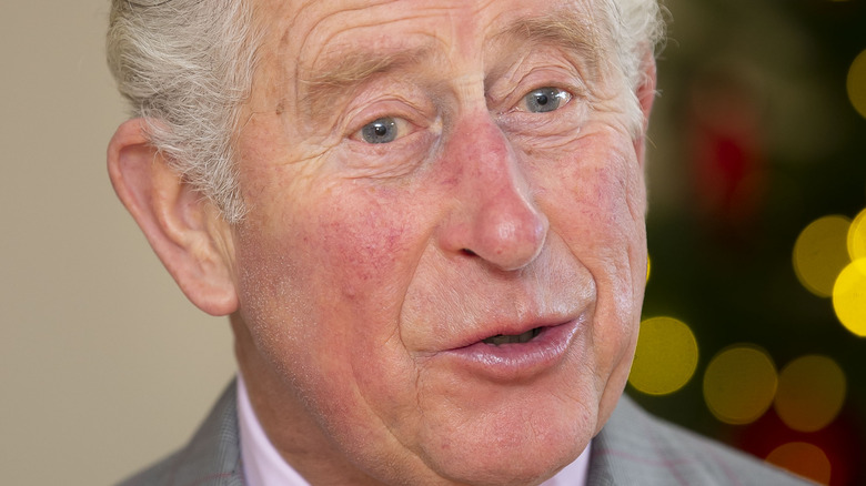 Le prince Charles s'exprimant