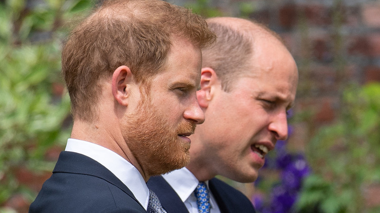 Le prince Harry et le prince William