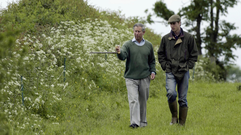 Le prince Charles et le prince William marchant dans la nature