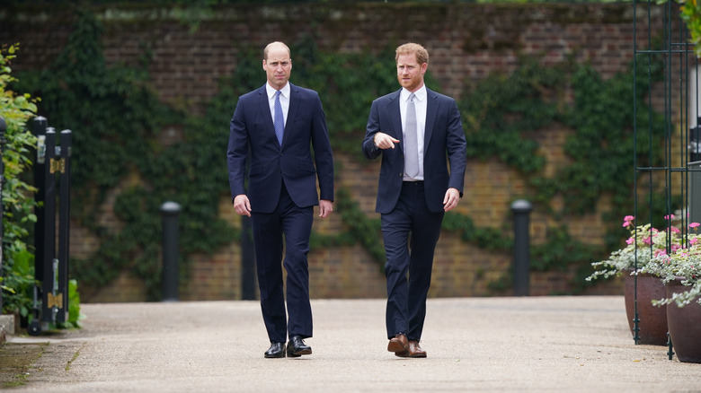 Le prince William et le prince Harry marchant