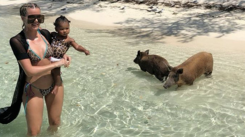 Khloe et True sur une plage avec des cochons