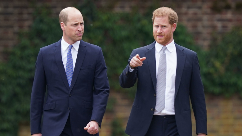 Le prince William et le prince Harry