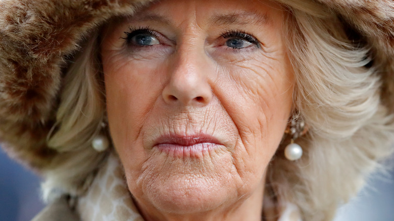 Camilla Parker Bowles a-t-elle vraiment fait un geste aussi méchant sur la princesse Diana?