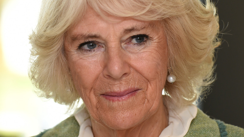 Camilla Parker Bowles révèle des détails tragiques sur sa mère