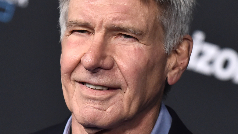 La vérité sur le frère d’Harrison Ford