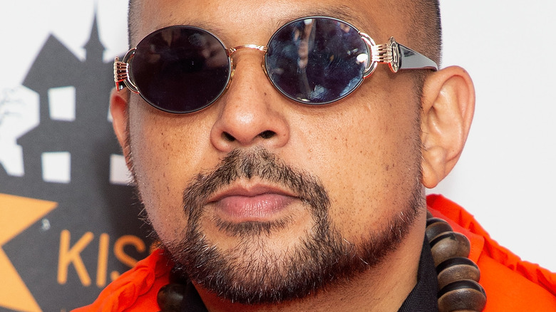 La vraie signification derrière Sean Paul et la dynamite de Sia