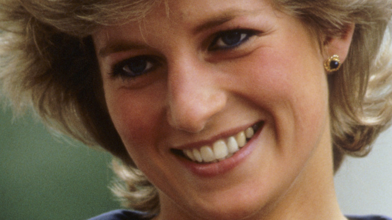 Un expert révèle ce que la princesse Diana ressentirait vraiment à propos de la nouvelle vie de Meghan et Harry