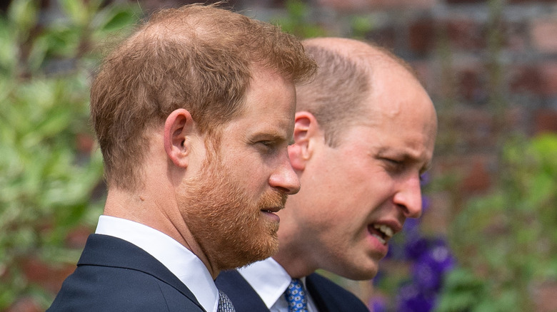 Le prince Harry se tient avec le prince William de profil