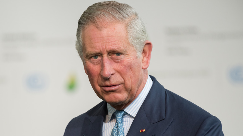 Le prince Charles regarde au loin