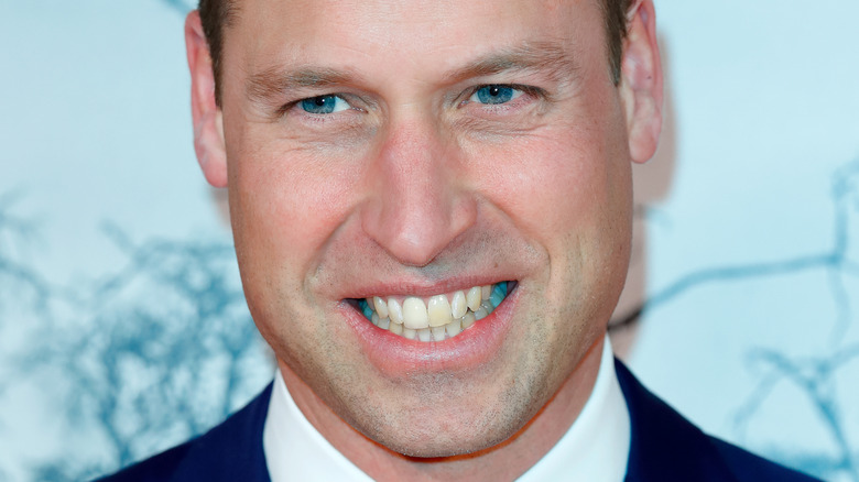 Prince William souriant