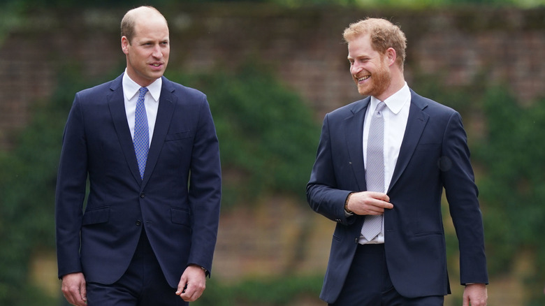 Le prince William et le prince Harry marchant