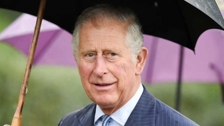 Le prince Charles regarde les journalistes