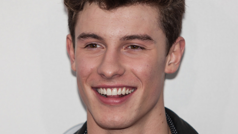 Shawn Mendes souriant