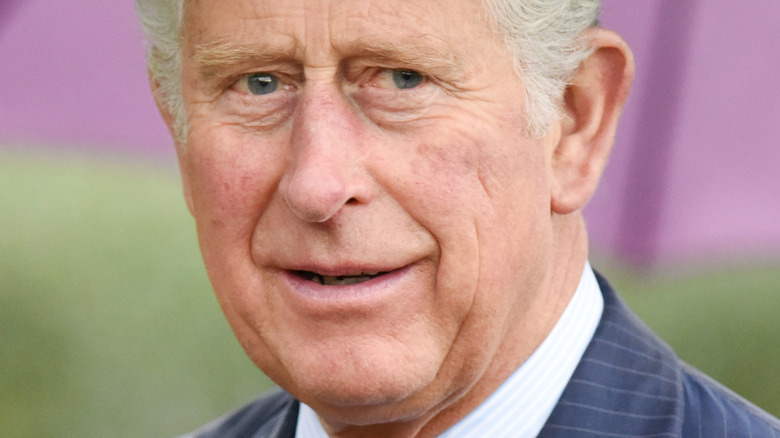 Le prince Charles souriant aux caméras