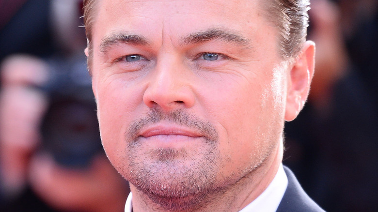 Comment Leonardo DiCaprio a sauvé ses chiens d’un lac gelé