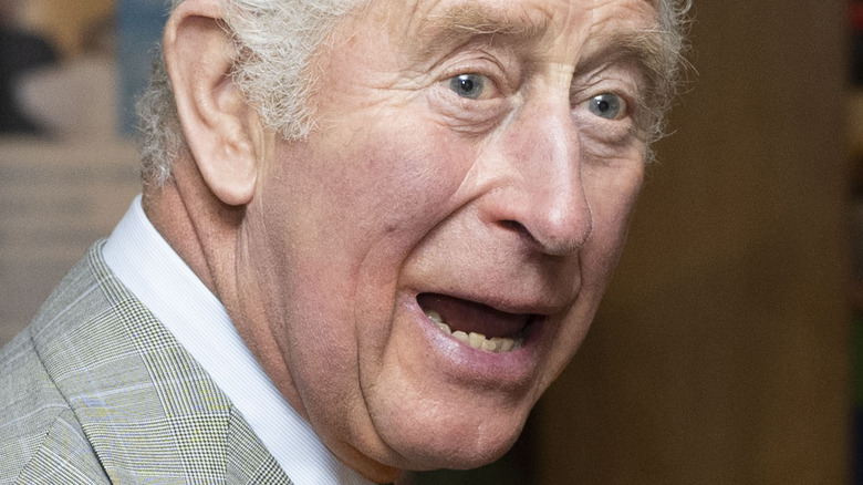 Le prince Charles posant