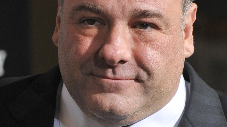 La manière follement généreuse que James Gandolfini a remercié ses co-stars sopranos