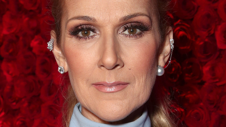 La transformation de Céline Dion de l’enfance à 53 ans