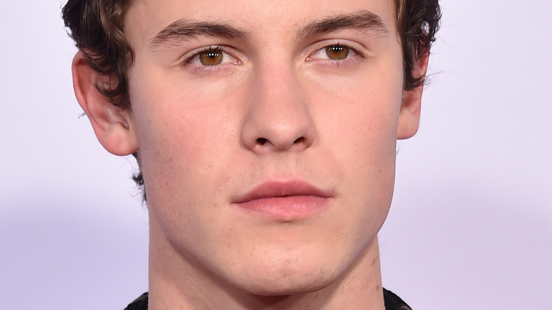 La vérité sur la rupture des médias sociaux de Shawn Mendes