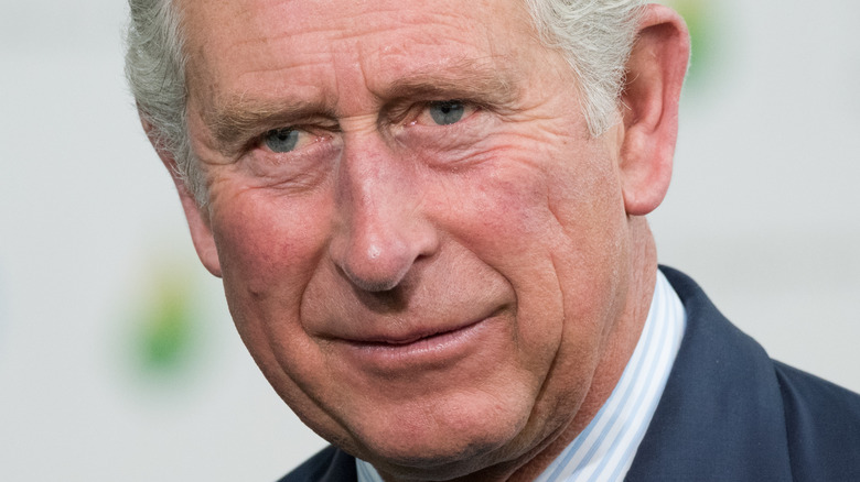 Prince Charles souriant