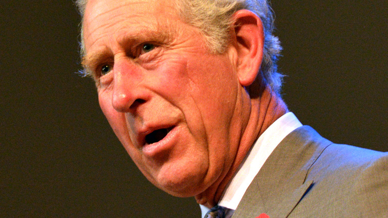 Le prince Charles parle