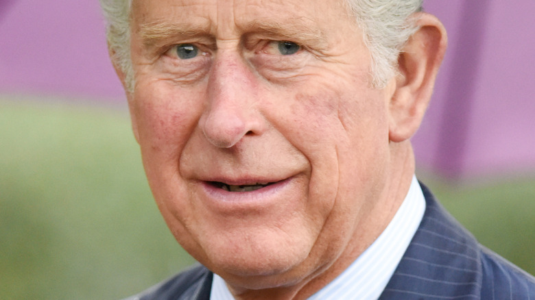 Le prince Charles posant