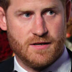 A-t-on vraiment dit au prince Harry de ne pas être trop sensible à cette controverse royale ?