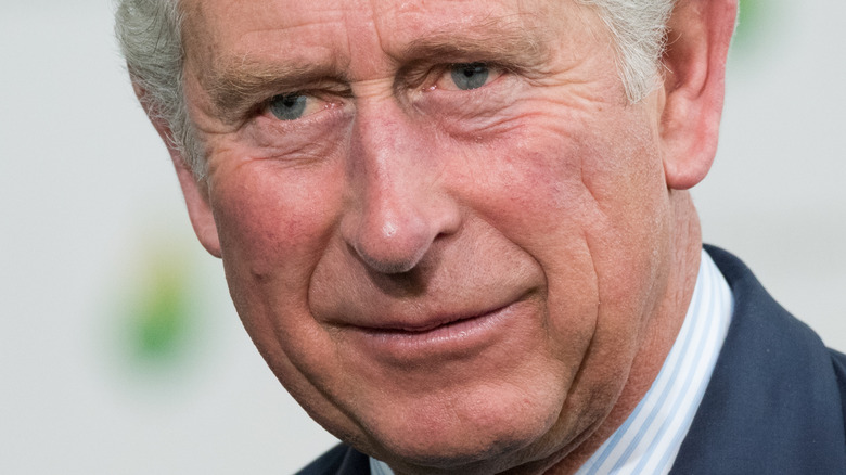 Les yeux bleus du Prince Charles