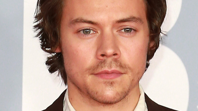 Quelle est la relation entre Harry Styles et les enfants d’Olivia Wilde ?