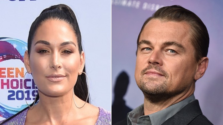 Brie Bella et Leonardo Di Caprio