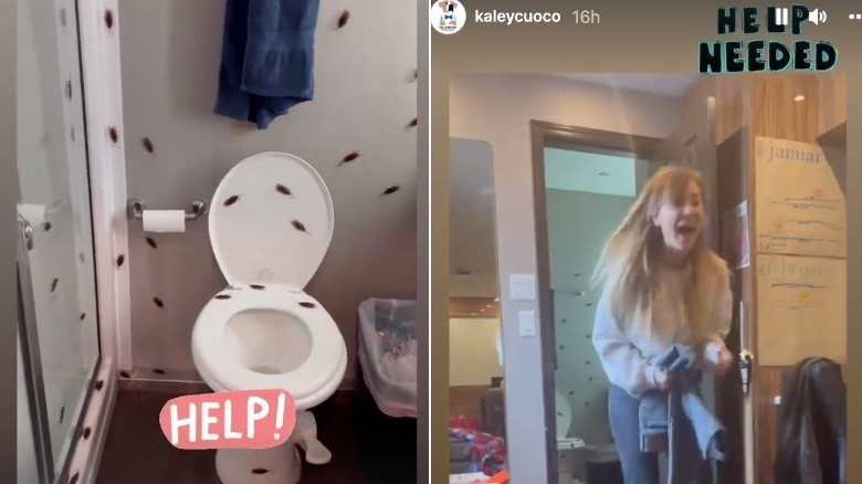 Kaley Cuoco hurlant, à côté des toilettes avec de faux cafards