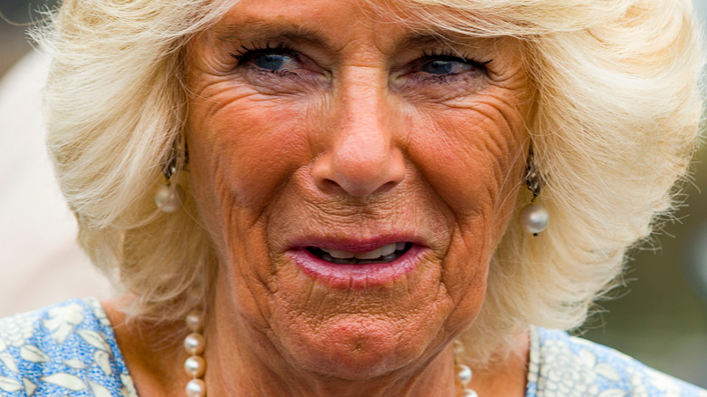 Camilla Parker Bowles parle