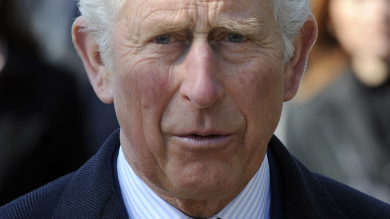 Le prince Charles posant