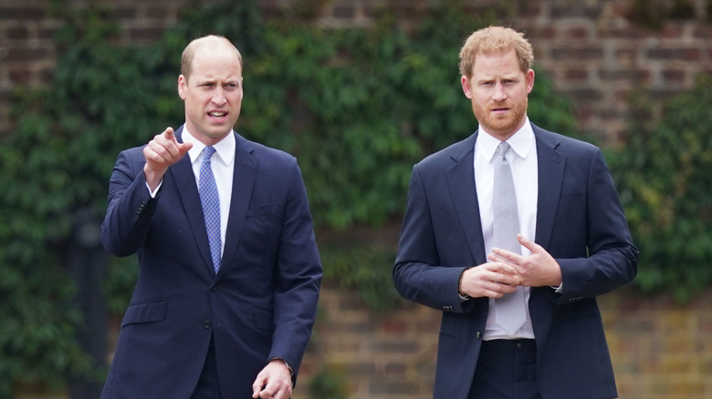 Le prince William et le prince Harry marchant