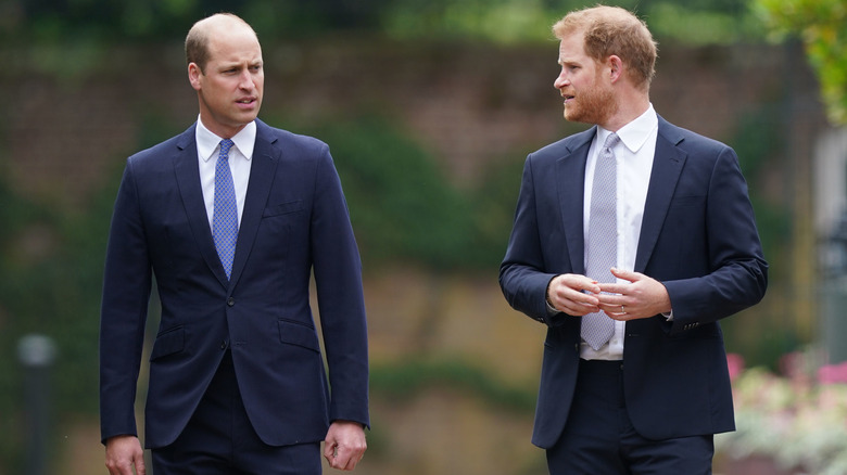 Prince William et Prince Harry