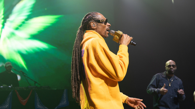 Snoop Dogg en spectacle