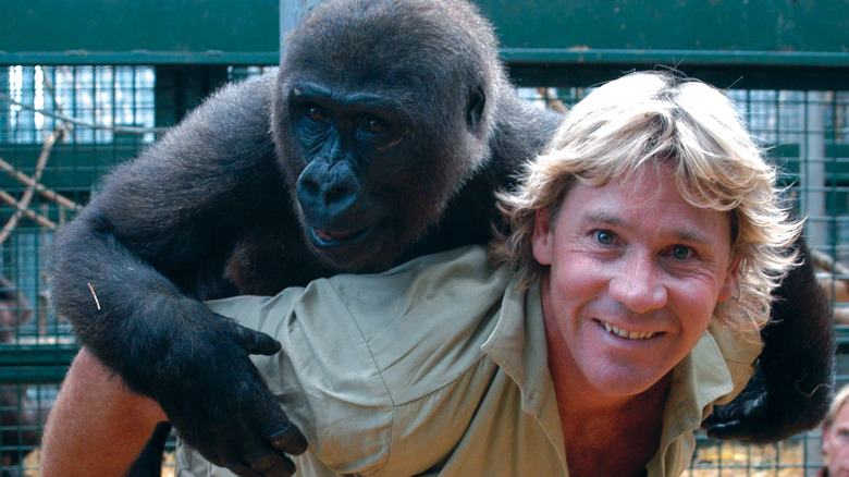 Steve Irwin câline un gorille en souriant