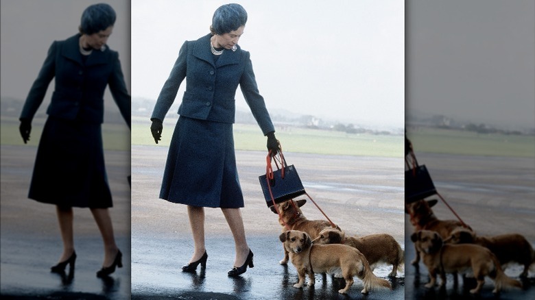 La reine Elizabeth avec ses chiens en 1974