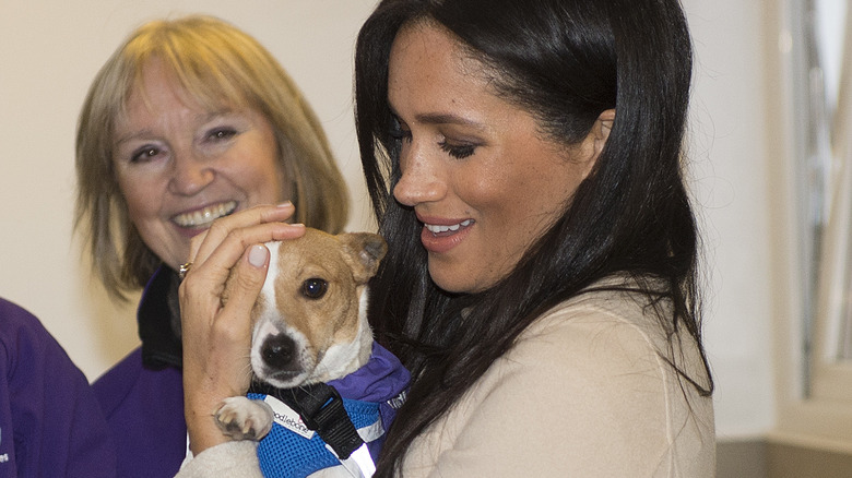 Meghan Markle tenant un chien