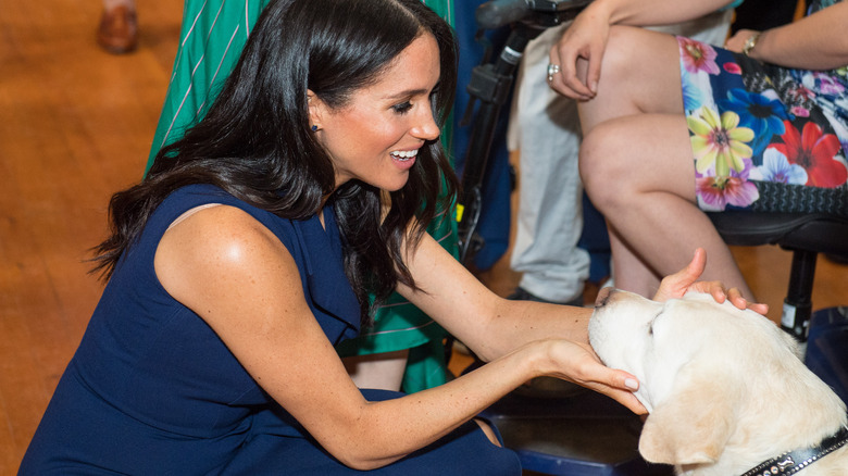 Meghan Markle caressant un chien